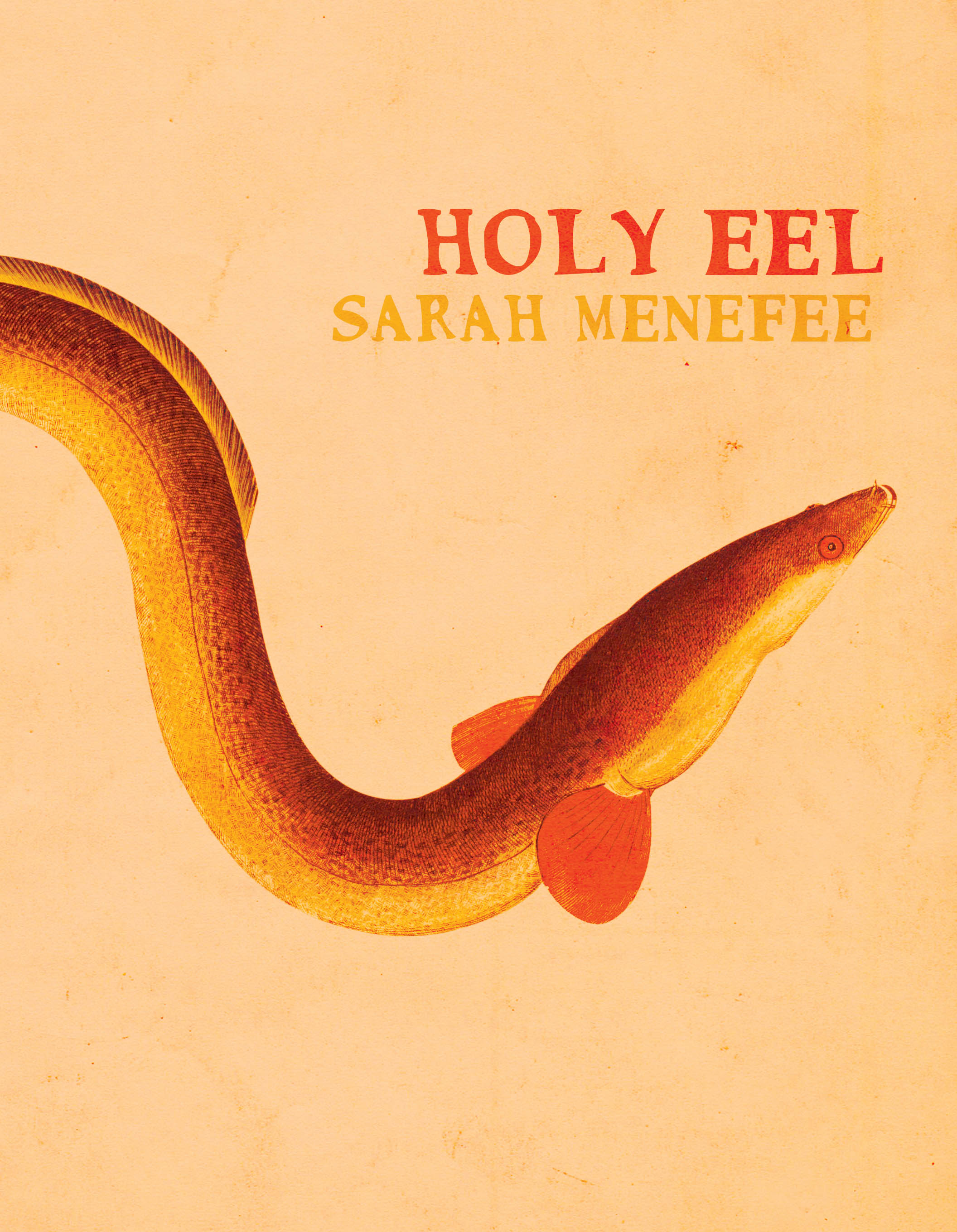 Holy Eel COVER Web